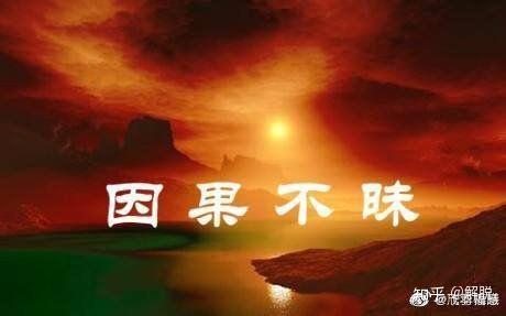 善因得善果恶因得恶果