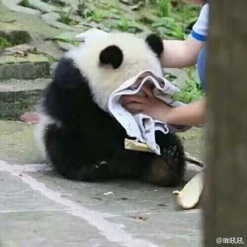 结合当前世界经济形势,谈谈对G20杭州峰会主