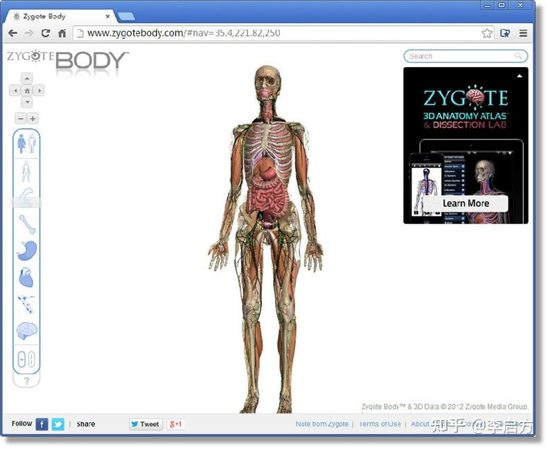 关于数据可视化,看这一篇就够了21 关于数据可视化,看这一篇就够了