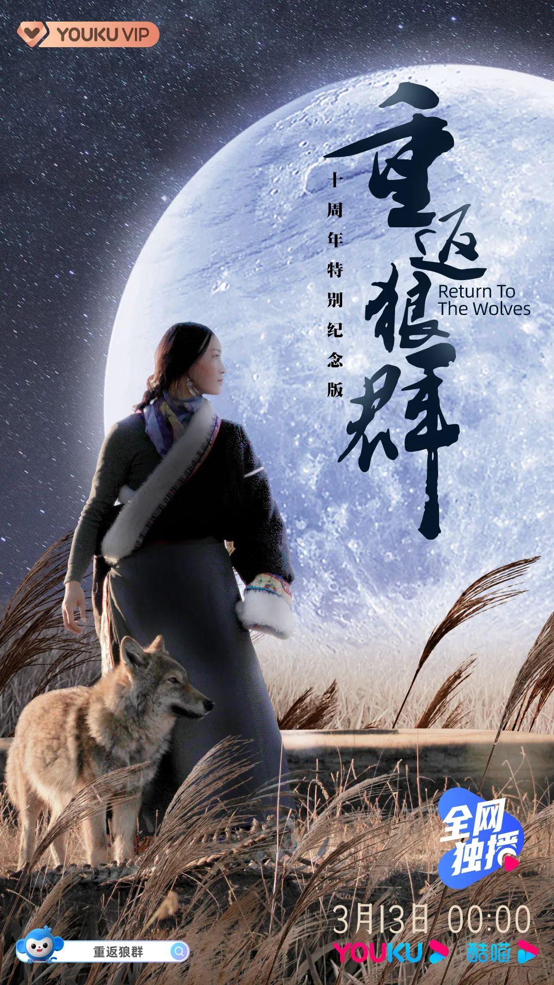 重返狼群10周年纪实剧女画家再走重返狼群之路