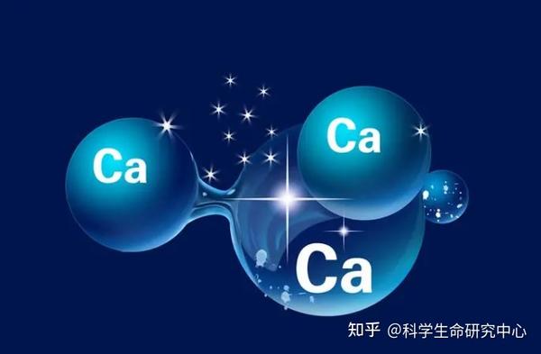 钙片什么时候吃吸收效果最好？如何有效提高钙片的吸收率？ - 知乎