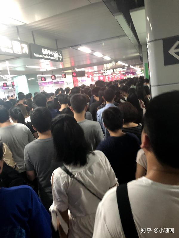 记录怀孕的日子 - 知乎