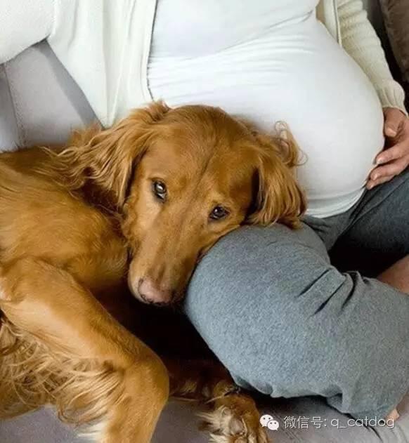 v2-3d3dd046cf9d96b3f0d55d716718a999_1440w.jpg?source=172ae18b