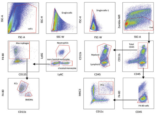 常见流式细胞术图片 - 知乎