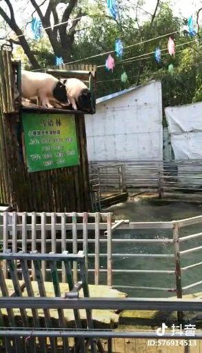 如何看待「我想带你去浪漫的土耳其」这句歌词