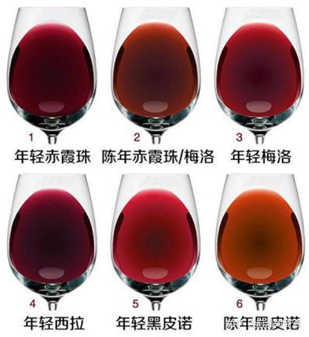 红葡萄酒颜色能传递给我们什么样的信息红葡萄酒观色品鉴进阶一