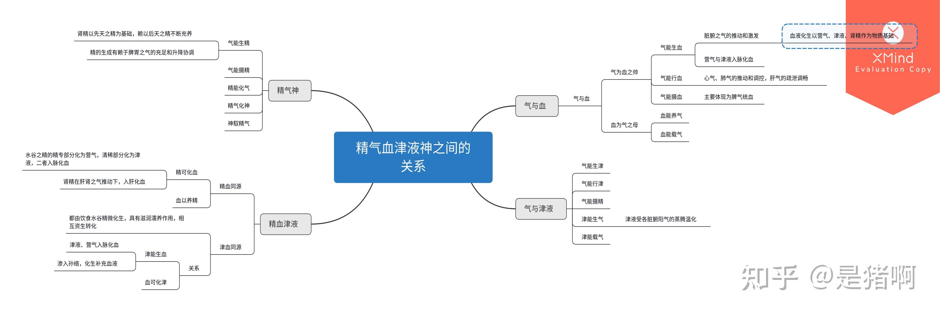 中医基础理论思维导图
