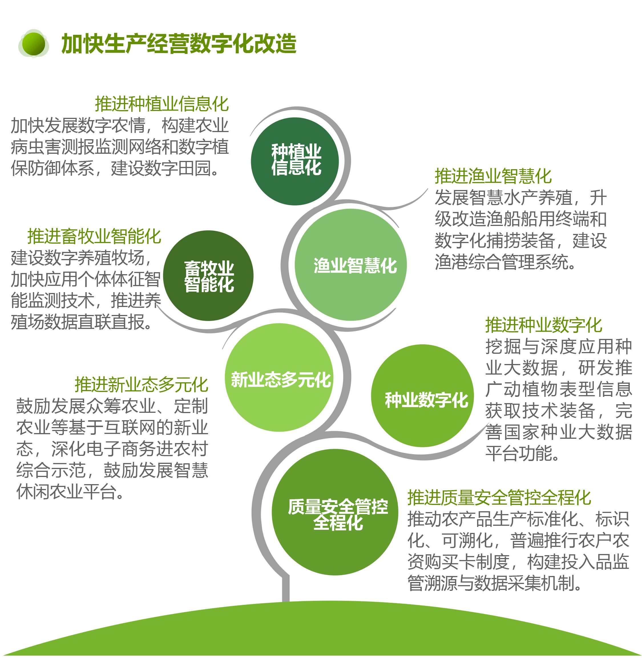 中国数字乡村发展报告（2019版全文）_战略