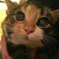 傻笑演员张海柱