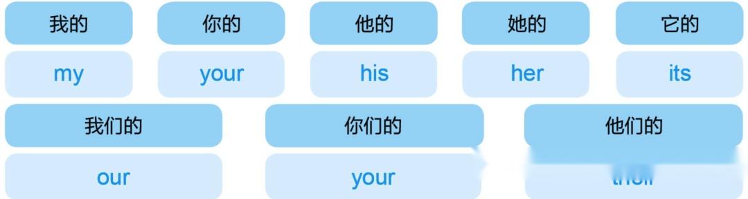 英语基础语法06 所有格是什么?人称代词的所有格用法 - 知乎