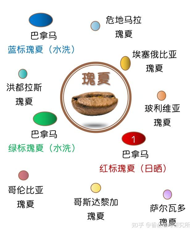 八一八这个超级贵族的咖啡豆瑰夏