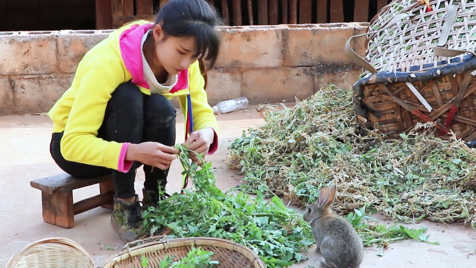 云南农村姑娘杀鸡干脆利落两只鸡全部炖汤一家人吃的津津有味