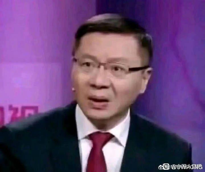 顺风的神——张维为 表情包合集