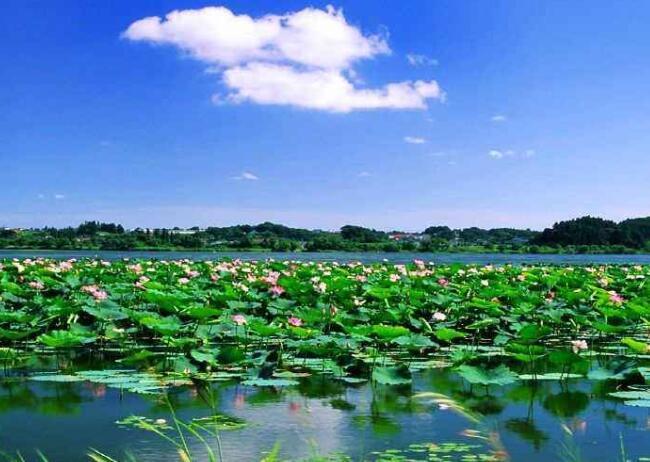 保定景點排行榜白洋淀小兵張嘎的取景地