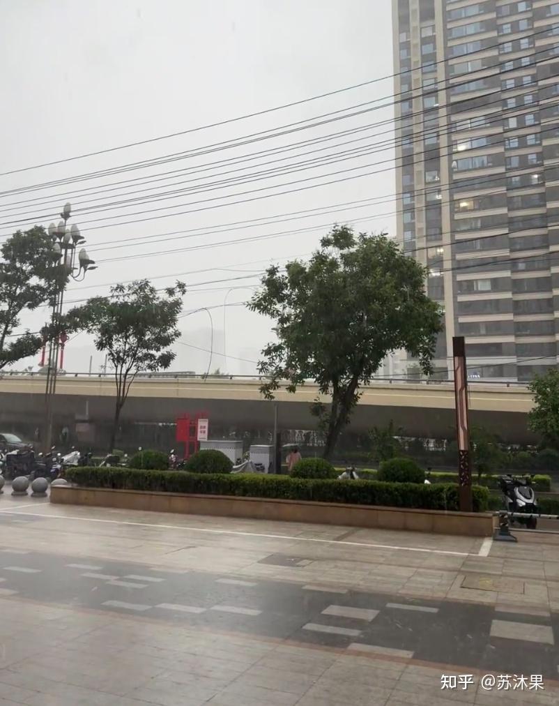 北方人第一次用除湿机,直接真香了!夏普D20除湿机,一台搞定除湿+除味+除菌