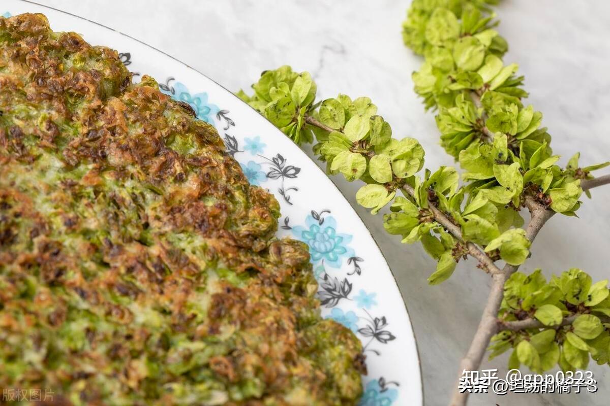 家中房前屋后的榆钱可以吃了,这7种吃法,比肉还好吃,钱多多来 - 知乎