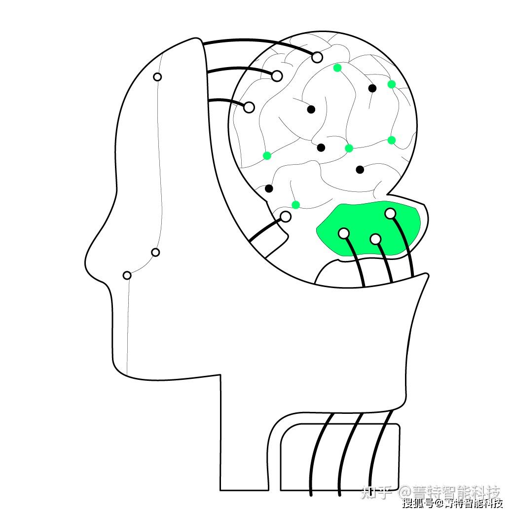 因特网简笔画图片