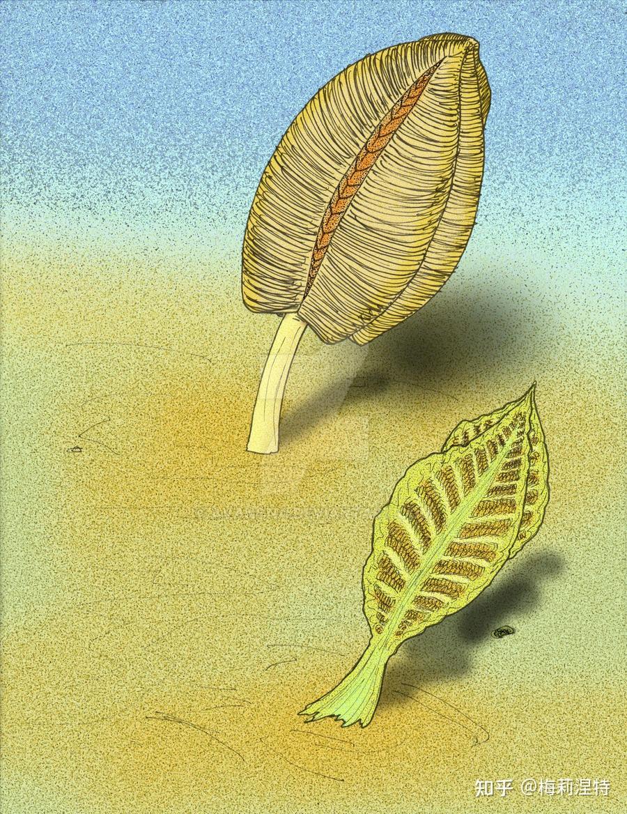 第八十九章 埃迪卡拉(5)