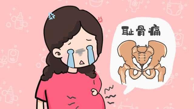 让人痛到怀疑人生的耻骨痛,孕妈要怎样缓解?