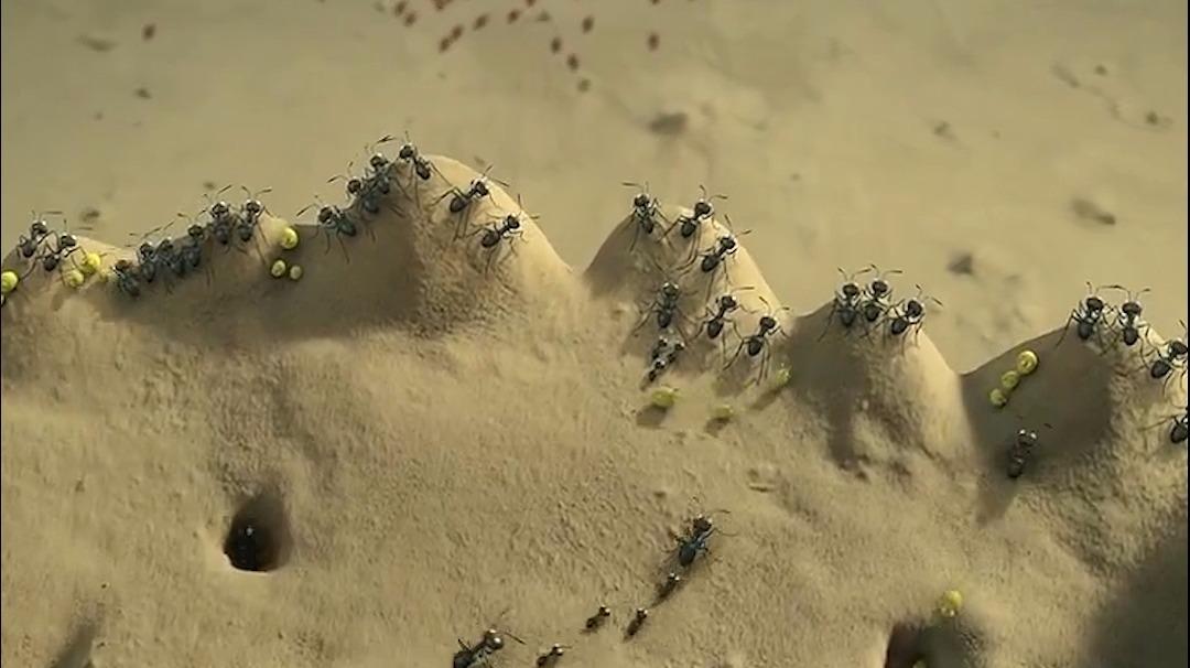 黑猩猩逃出收容所,对抗人类