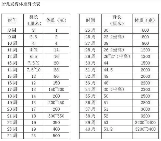 胎宝宝哪个月长得比较快 准妈妈的体重开始明显增加 知乎