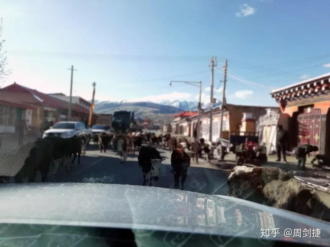 这样也行?(4200公里多少油钱)4200公里开车需要多久,(图71) 这样也行?(4200公里多少油钱)4200公里开车需要多久,(图71)