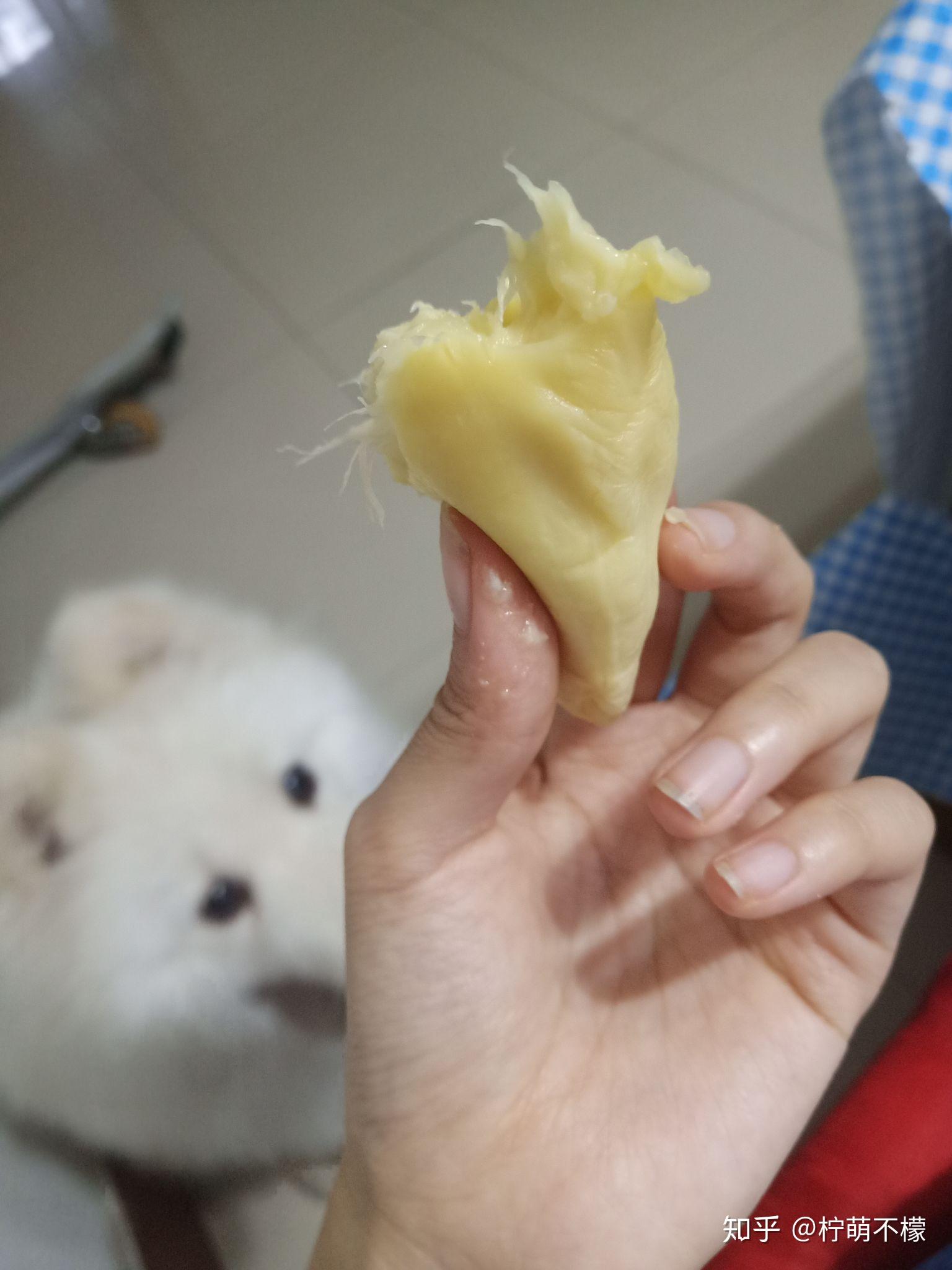 猫爱吃什么水果蔬菜 v2-3e1a726333a16db982b91b9e339137f3_r.jpg