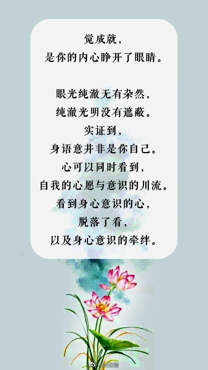 梦境的细语，解析梦见小花蛇在我脚上的深层含义