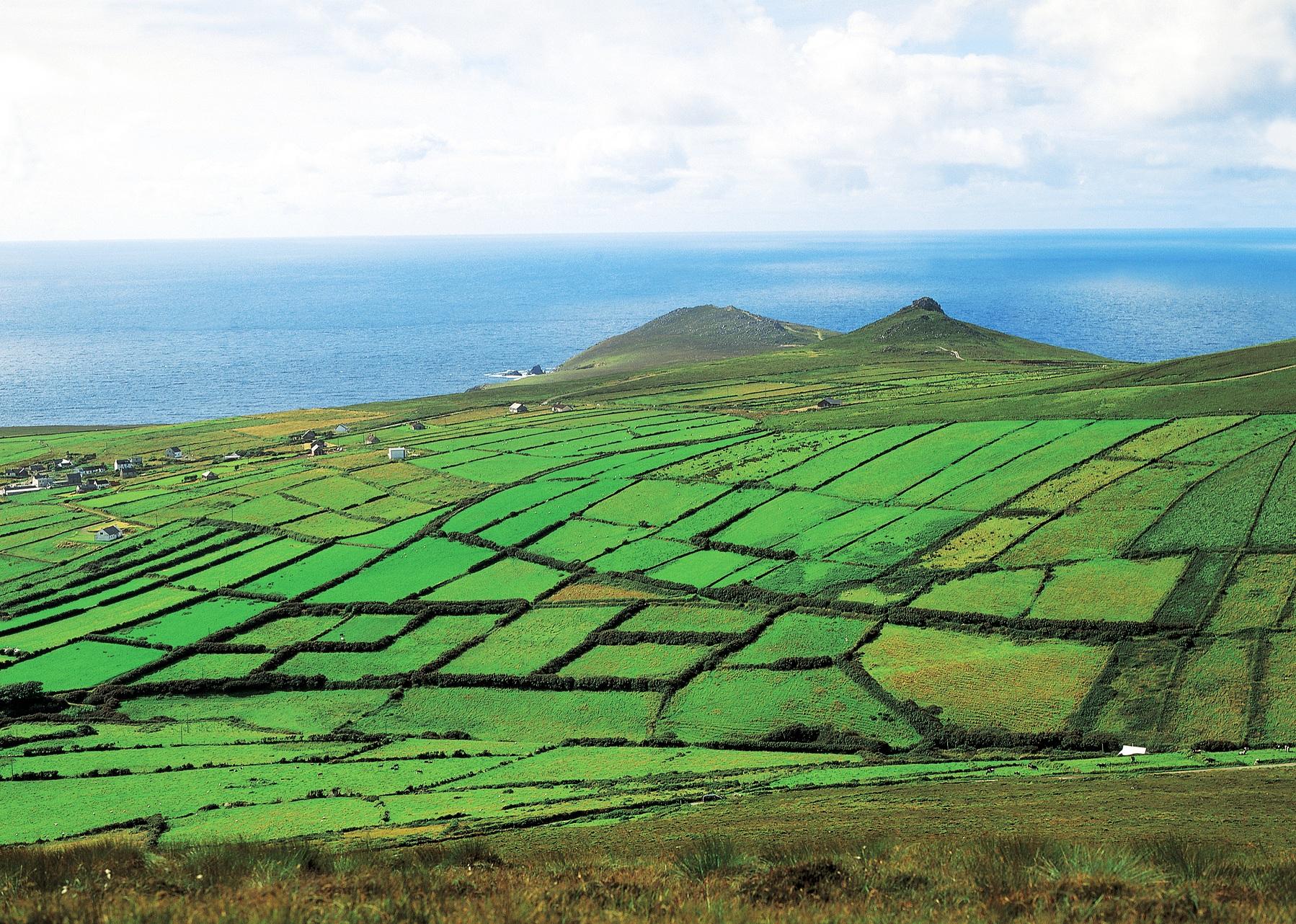 去爱尔兰旅游的最佳时间?