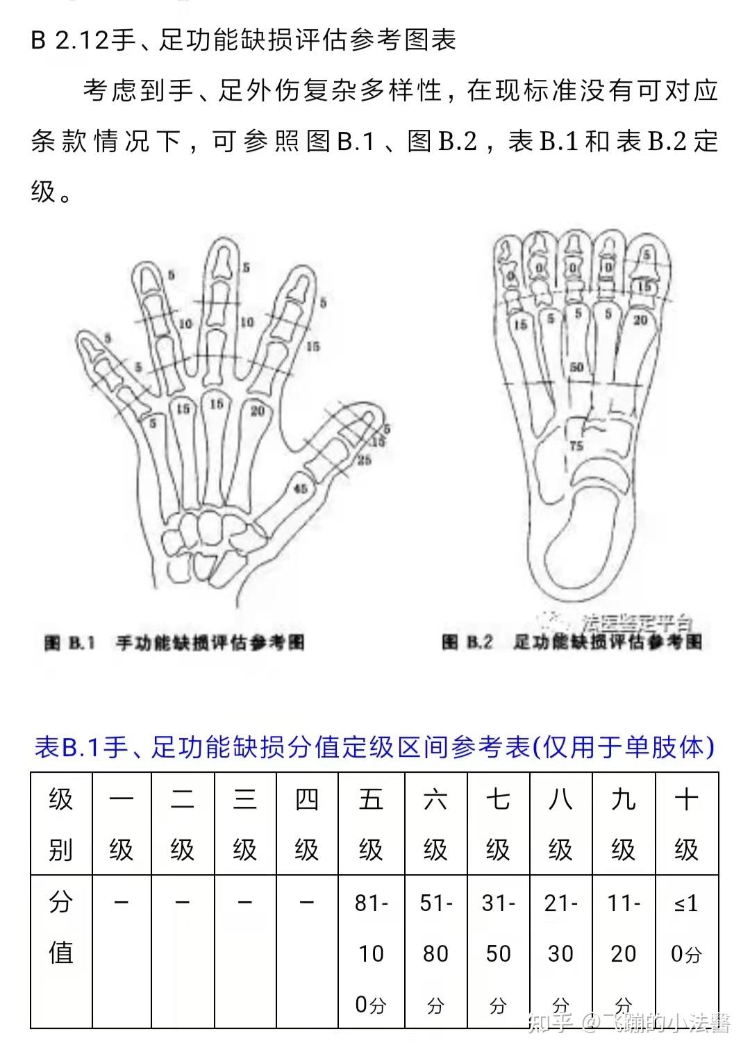 手的工伤鉴定总结