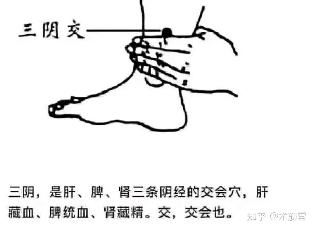 三阴准确位置图片图图片