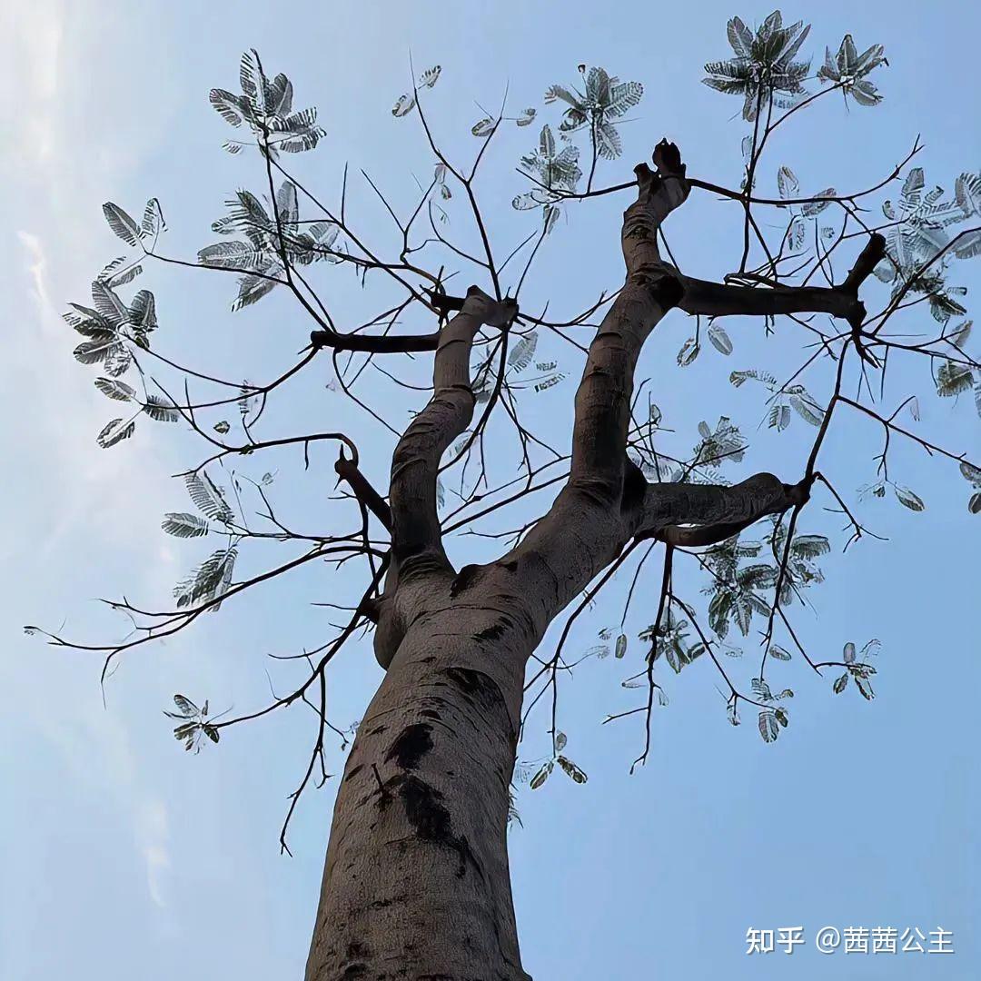 耽美娱乐圈甜宠文推荐第五弹!🌸🌸🌸双洁HE 已完结【10篇】 - 知乎