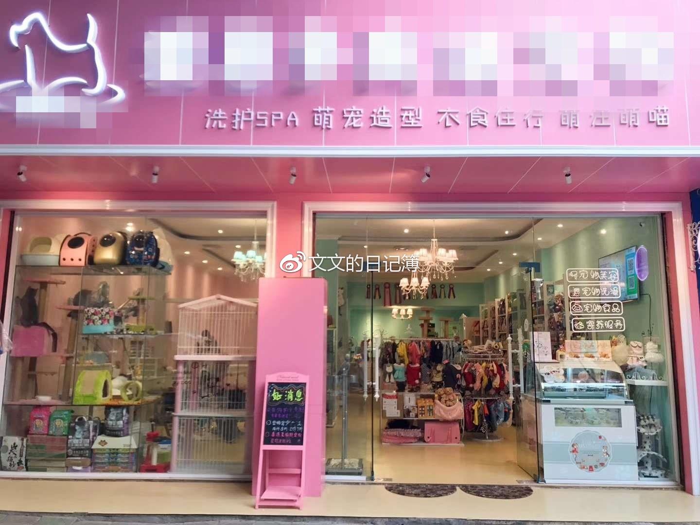 开个宠物店需要多少钱 (开个宠物店需要哪些条件)