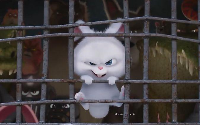 爱宠2完美承包今日份可爱网友还我兔子小白