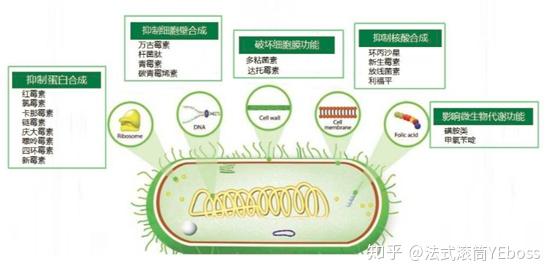 化工史話51古老的技藝發酵工程與抗生素