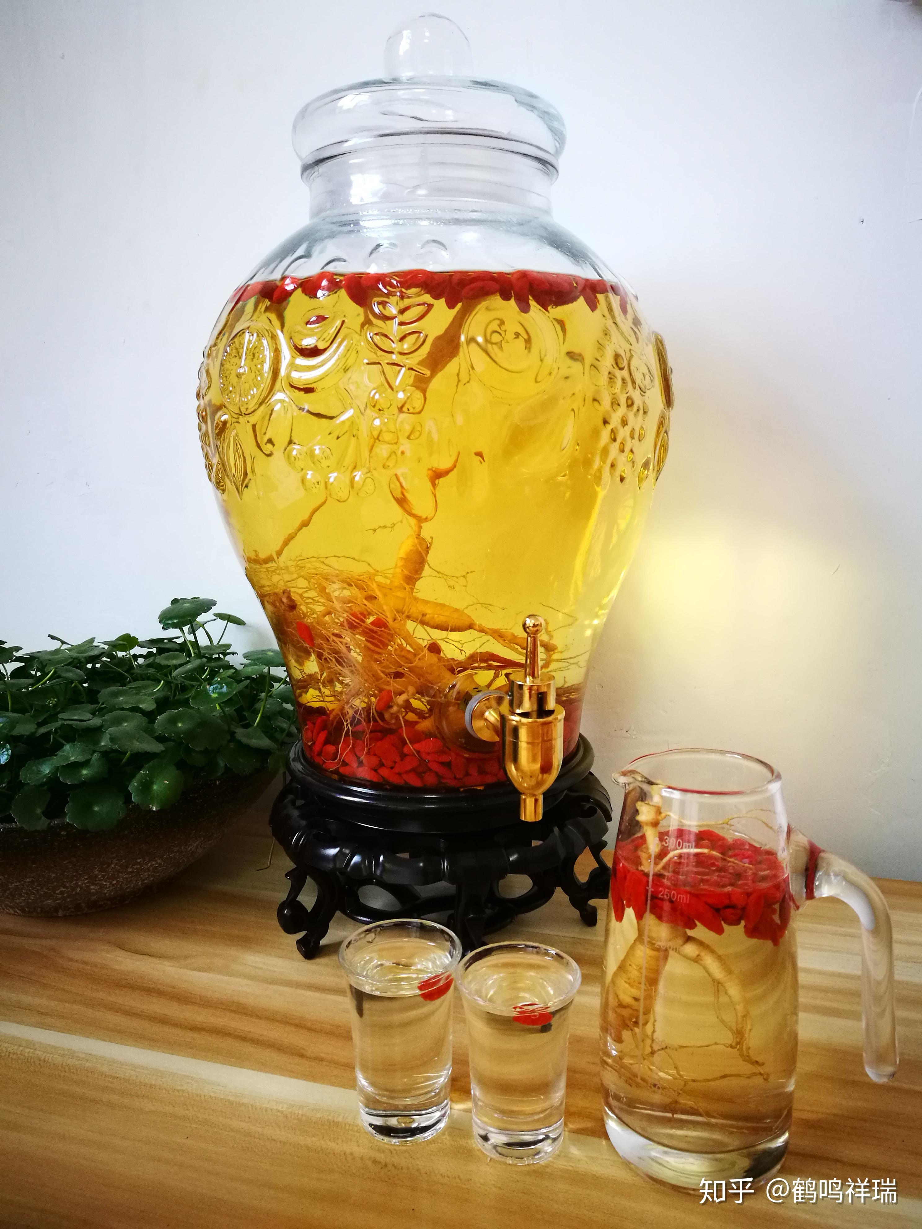 野山参酒的功效和作用