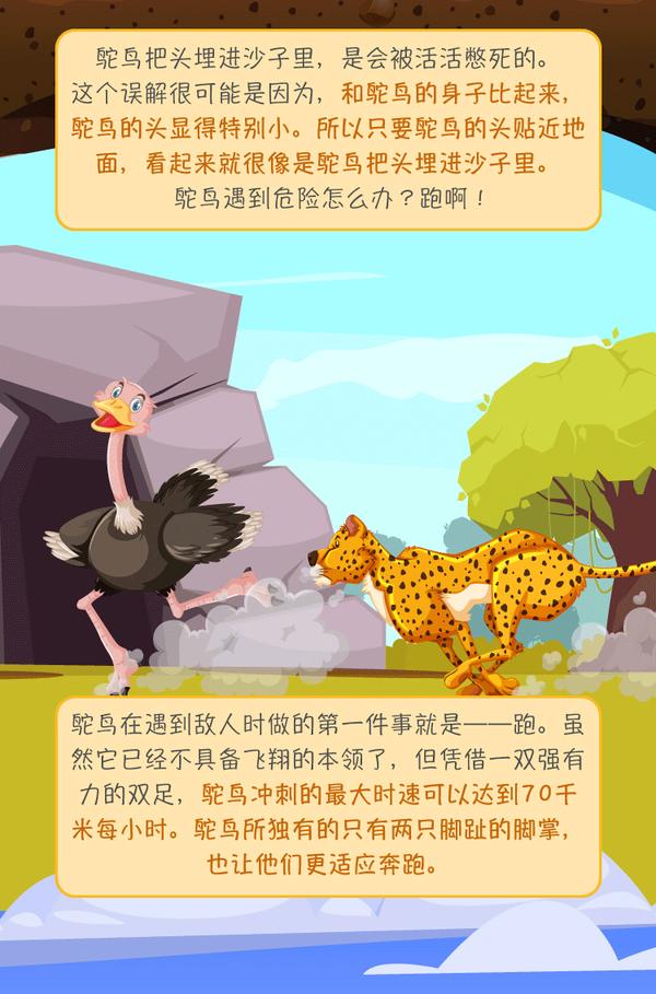 鸵鸟遇到危险时会把头埋进沙子吗