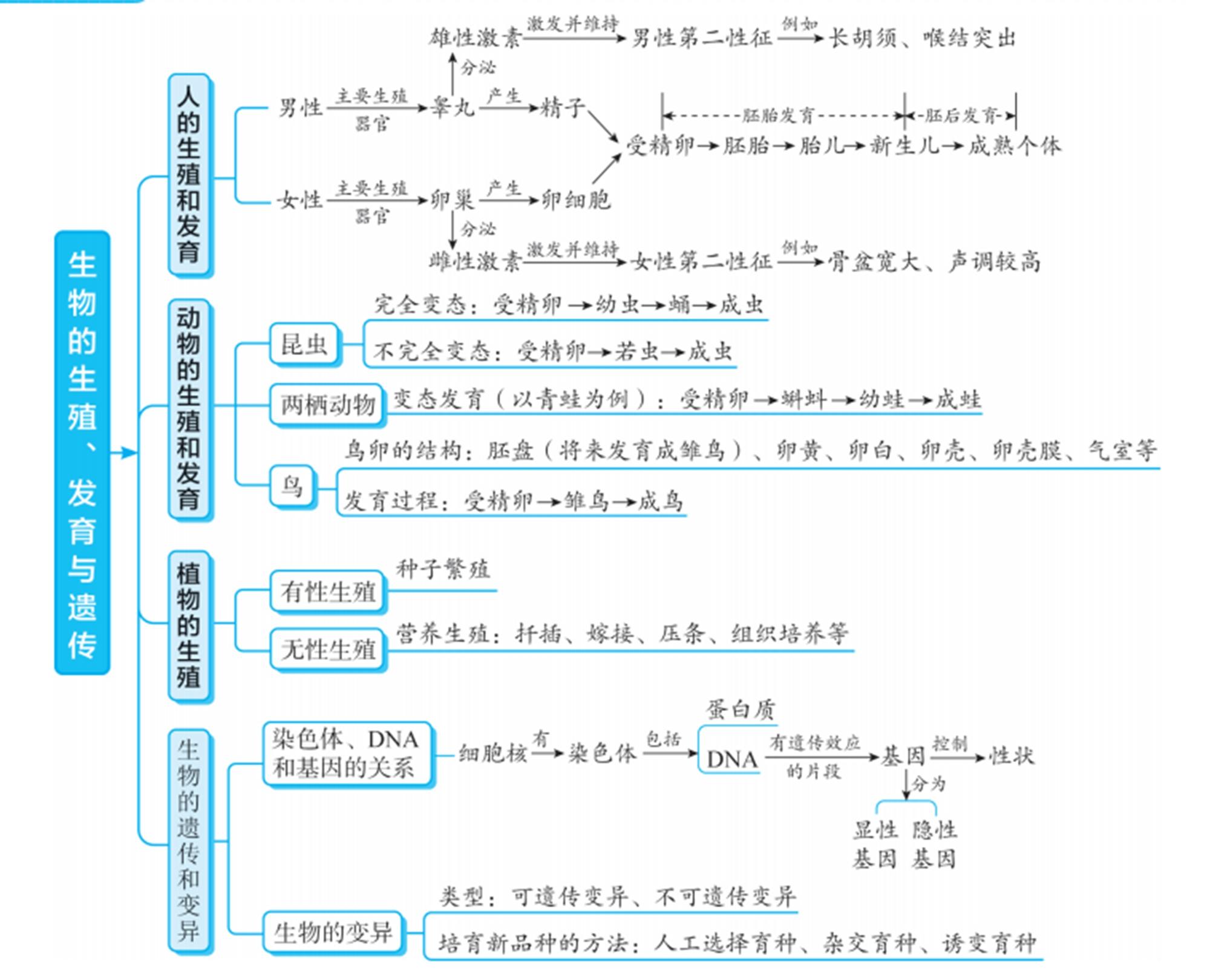 初中生物思維導圖學員自制完整版8張圖如果您覺得這裡的思維導圖不夠