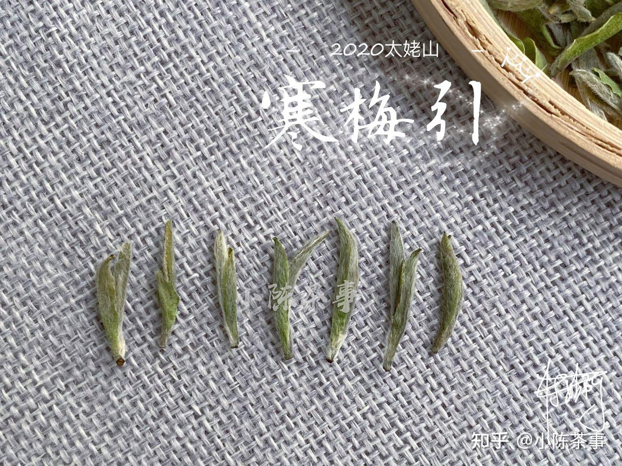 白毫银针带有鱼叶就是高等级头采茶掌柜的套路又来了