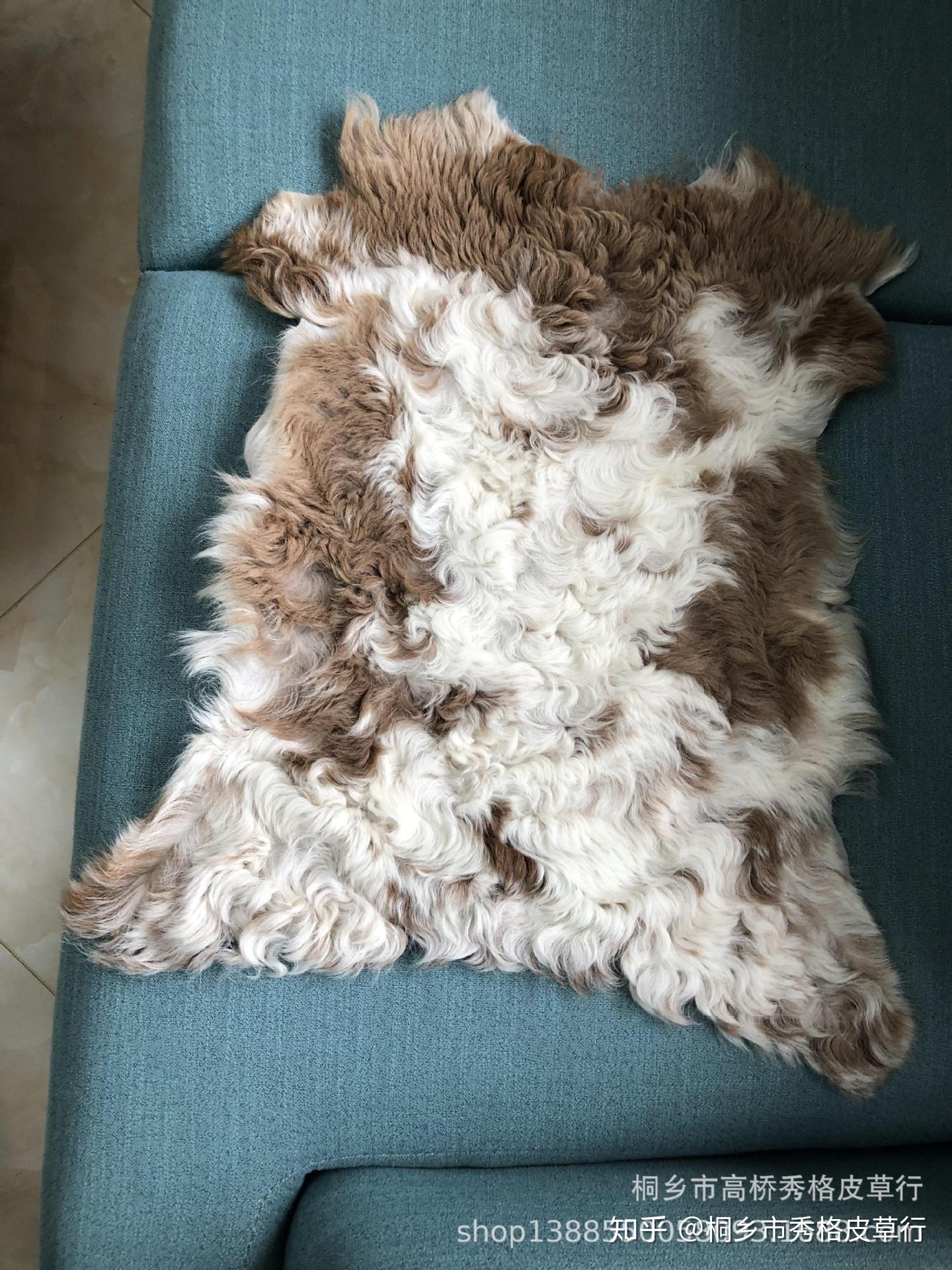 提格拉多羊毛介绍,什么是tigrado提格拉多皮毛一体?