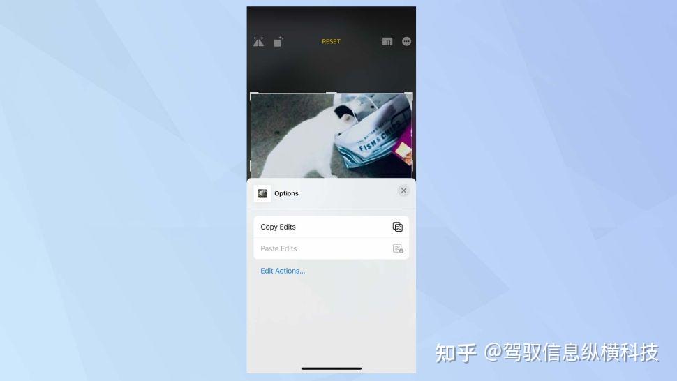 编辑视频无需第三方软件,在iPhone上也可以轻松编辑视频 - 知乎