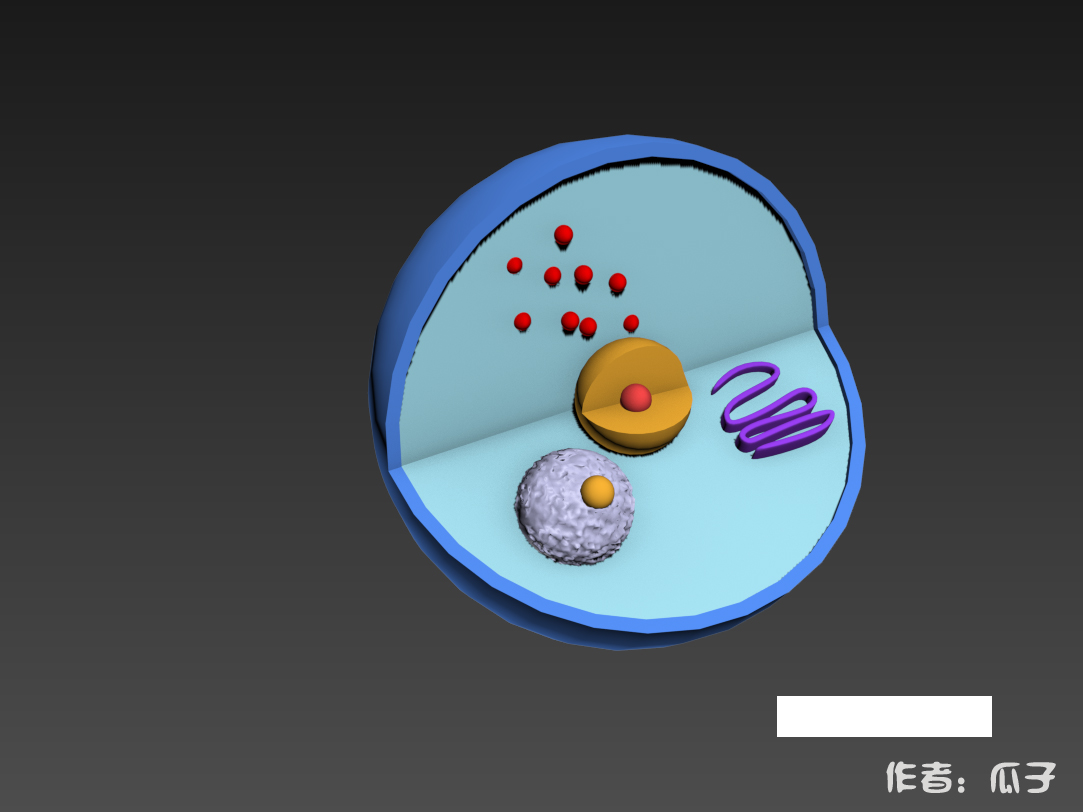 如何用3dsmax构建细胞核模型