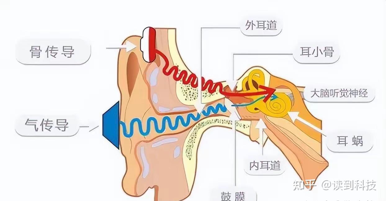 v2-3ef9575fdcb5284cd9462122e3861843_r.jpg