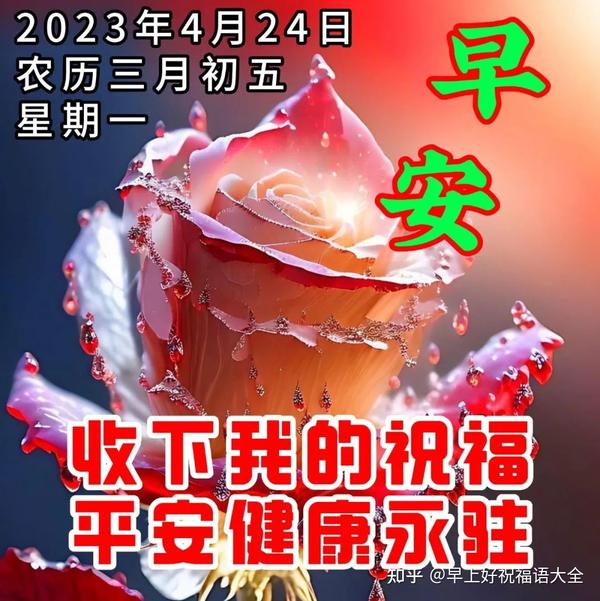 4月24日周一早安，新的一周，新的开始 知乎 5283