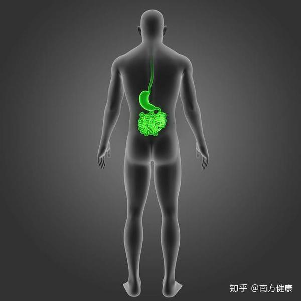 吃油少会得胆结石 不仅如此 4种情况会致病 看你有哪种 知乎