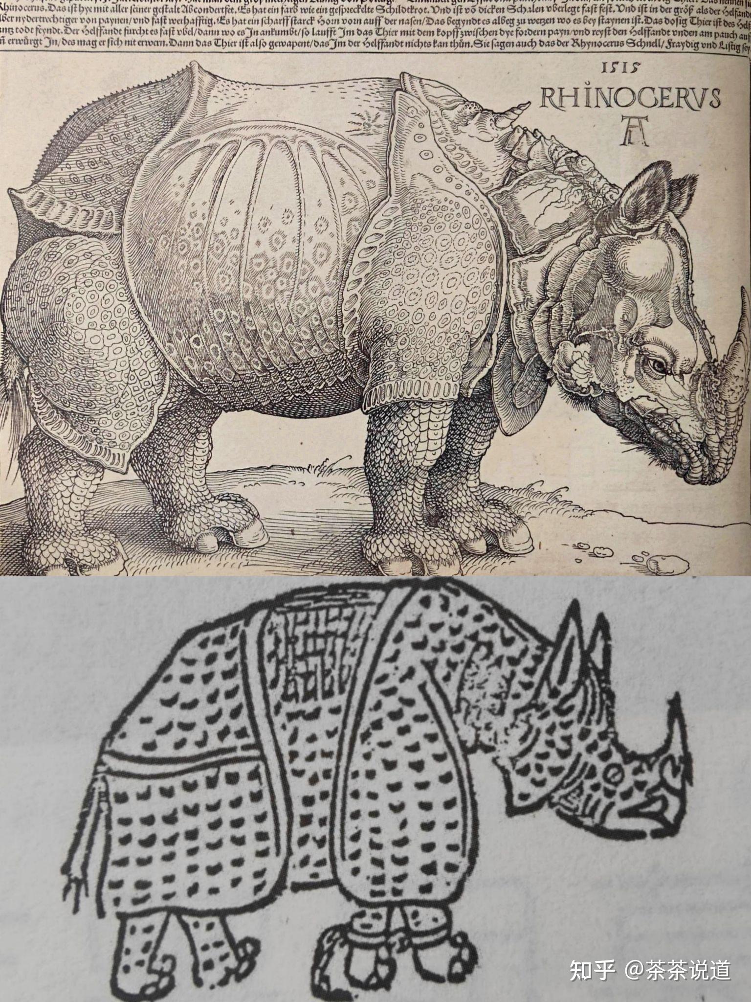 2.《丢勒的犀牛》:画作界的模仿与超越