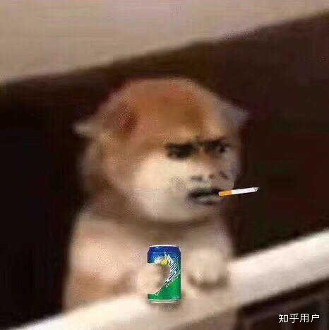 如何看待香港一年制硕士?