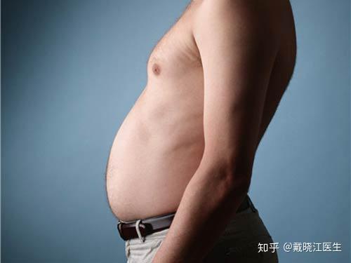 脂肪还有分类 皮下脂肪和内脏脂肪的区别 知乎