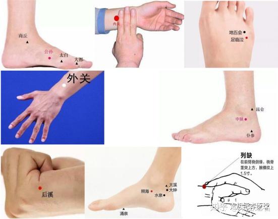 穴位在人体的分布如下图:公孙,内关(足)临泣,外关,申脉,后溪,照海,列