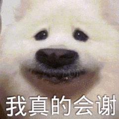 近期热门表情包 | 我真的会谢 - 知乎